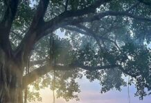 बहुजन प्रतिपालक, कुळवाडी भूषण, रयतेचे जाणते राजे – छत्रपती शिवाजी महाराज!