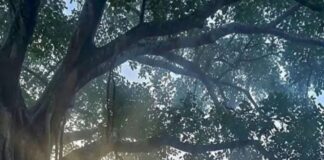 बहुजन प्रतिपालक, कुळवाडी भूषण, रयतेचे जाणते राजे – छत्रपती शिवाजी महाराज!