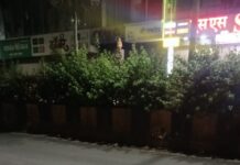 मा. मुख्य अधिकारी, मा. प्रथम नागरिक याकडे कधी लक्ष देणार …!!