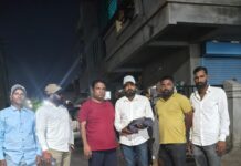 माकडाच्या नवजात पिल्लाला मिळाले जीवदान; काकडे बंधूंची मानवतेची हृदयस्पर्शी कृती