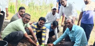 वृक्षारोपणातून पर्यावरणाचा संदेश देत कालकथित चंद्रकांत उर्फ सचिन भालेराव यांचा अस्थि संकलन व पुण्यानुमोदन विधी संपन्न