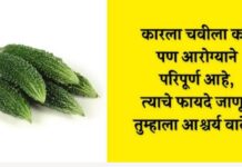 कडू असलं तरी गुणांनी भरलेलं! कारले खाण्याचे जाणून घ्या आश्चर्यकारक फायदे