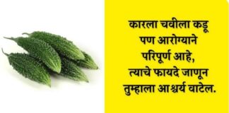 कडू असलं तरी गुणांनी भरलेलं! कारले खाण्याचे जाणून घ्या आश्चर्यकारक फायदे