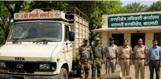 रुई परिसरात वन विभागाची धडक कारवाई; विनापरवाना लाकूड वाहतूक करणारा टेम्पो जप्त