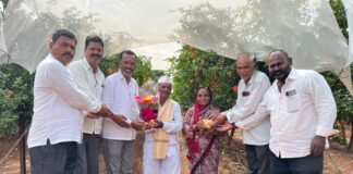फलोत्पादन क्षेत्रातील उल्लेखनीय कार्याबद्दल बबनराव मुळीक यांना ‘कृषी उद्यान पंडित’ पुरस्कार