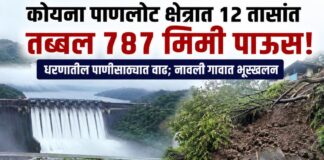 कोयना पाणलोट क्षेत्रात १२ तासांत तब्बल ७८७ मिमी पाऊस; धरणातील पाणीसाठ्यात वेगाने वाढ, नावली गावात भूस्खलन