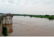 वीर धरणातून पाण्याचा विसर्ग सुरू; अकलूजमधील निरा नदीकाठच्या नागरिकांना सतर्कतेचा इशारा