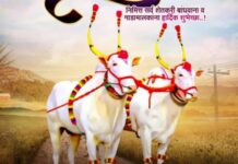 बेंदूर : महाराष्ट्राच्या कृषी संस्कृतीचा कृतज्ञतेचा सण; बैलांप्रती प्रेम, आदर आणि सहजीवनाचा संदेश