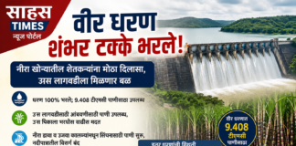 वीर धरण शंभर टक्के भरले; नीरा खोऱ्यातील शेतकऱ्यांना मोठा दिलासा, ऊस लागवडीला मिळणार बळ