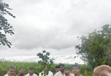 अस्थी विसर्जनाऐवजी शेतात बोधीवृक्षाचे रोपण; जगताप परिवाराने जपला धम्ममय पर्यावरण संवर्धनाचा आदर्श