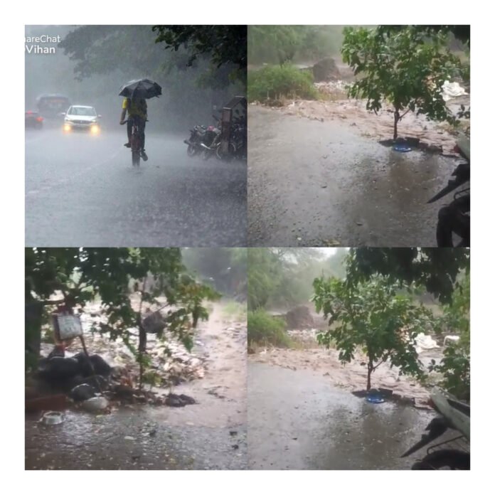 माळशिरस तालुक्यात वरुणराजाची दमदार हजेरी; वेळापूर, अकलूज, माळीनगरसह परिसरात जोरदार पाऊस